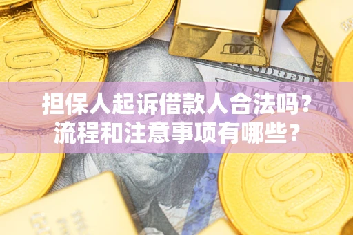 济南担保人起诉借款人合法吗？流程和注意事项有哪些？