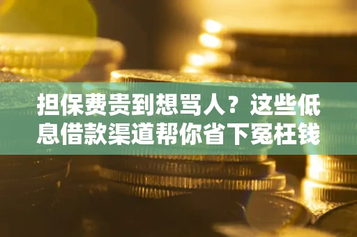 济南担保费贵到想骂人？这些低息借款渠道帮你省下冤枉钱